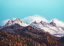 世界杯手机直播客户端-世界杯中国两将进八强 孙颖莎恐迎日女将连番考验